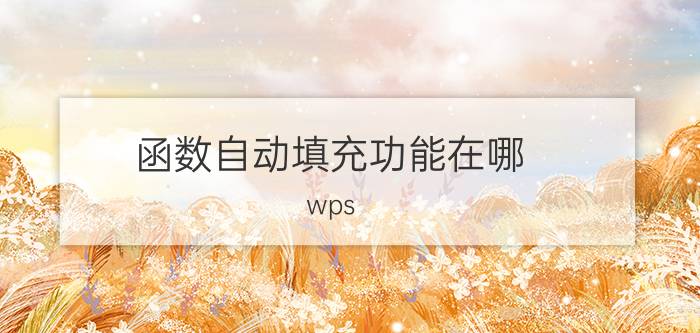 函数自动填充功能在哪 wps 如何用函数实现填充？